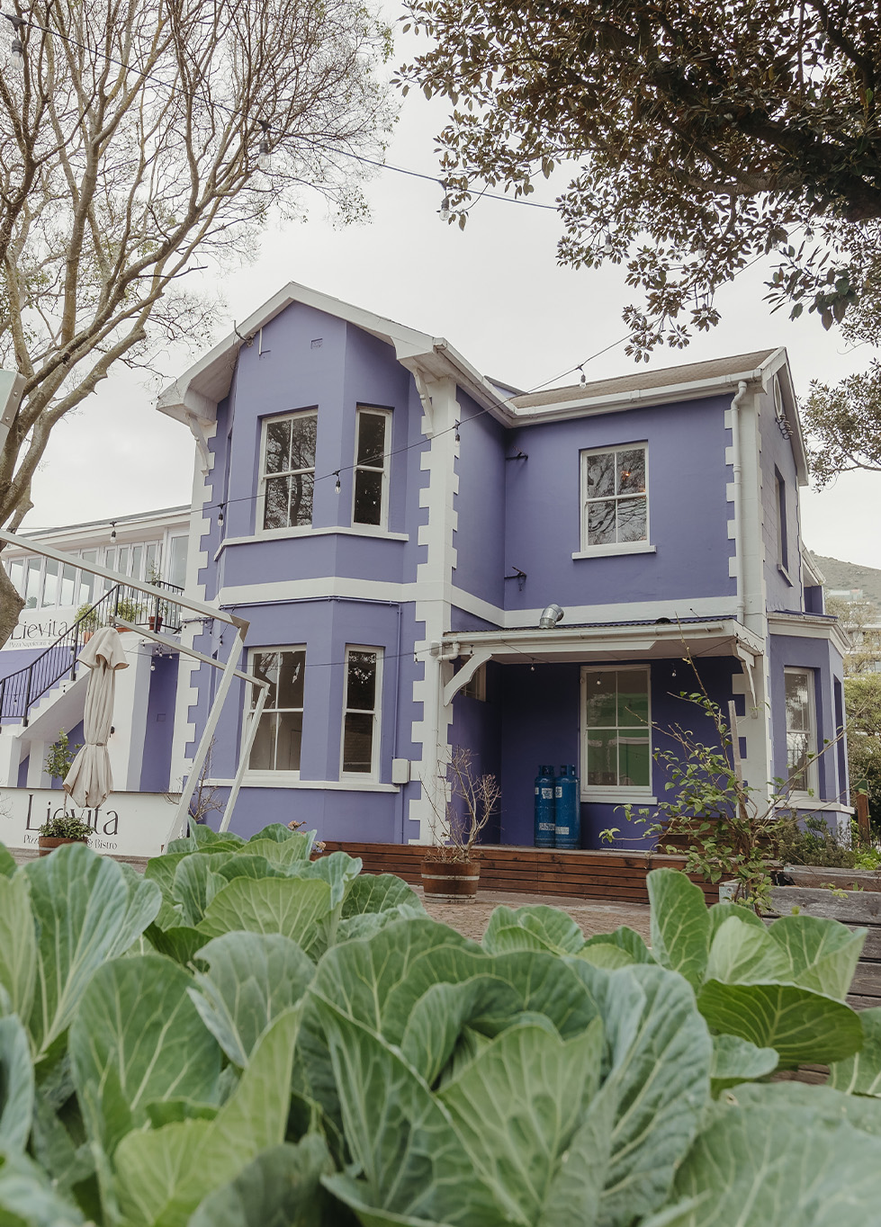 www.lievita.co.za